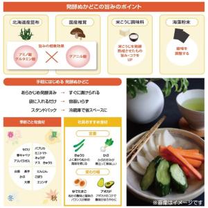 みたけ 発酵ぬかどこ 1kg 送料無料の詳細画像4