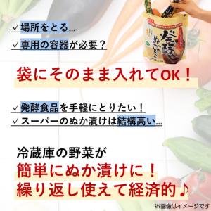 みたけ 発酵ぬかどこ 1kg 送料無料の詳細画像5