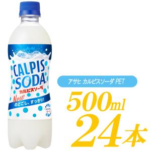 カルピスソーダ 500ml ×24本 ペットボトル｜quickfactory-annex
