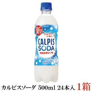 カルピス ◇カルピスソーダ 1.5L【8個セット】 : サンドラッグe-shop