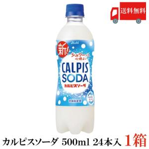 カルピスソーダ 500ml ×24本 ペットボトル 送料無料｜quickfactory-annex