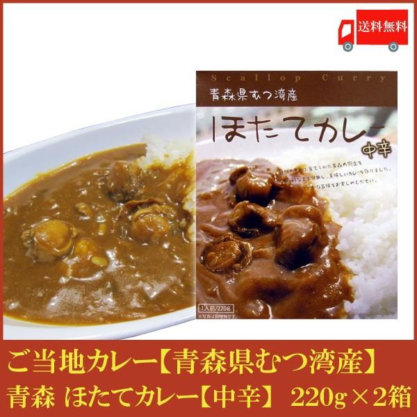 ご当地グルメ 青森 むつ湾産 ほたてカレー 中辛 220g ×2個 送料無料