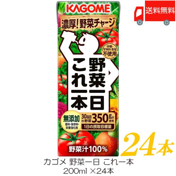 カゴメ 野菜一日 これ一本 200ml 紙パック ×24本 (12本入×2ケース) 送料無料