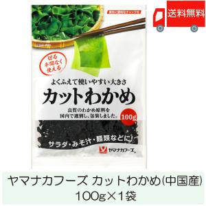 ヤマナカフーズ カットわかめ  100g
