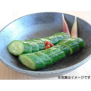 ニチノウ食品 徳用 さっぱり漬の素 120g ...の詳細画像3
