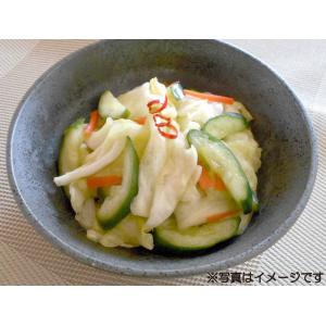 ニチノウ食品 徳用 さっぱり漬の素 120g ...の詳細画像4