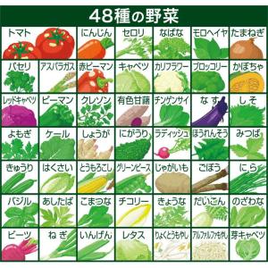 キリン 無添加野菜 48種の濃い野菜100% ...の詳細画像2