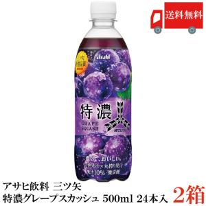 アサヒ飲料 三ツ矢 特濃グレープスカッシュ PET 500ml ×48本 (24本入×2ケース) 送料無料
