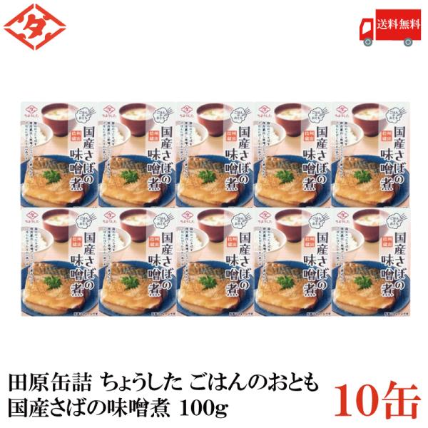 送料無料 田原缶詰 ちょうした ごはんのおとも 国産さばの味噌煮 100g×10缶 (信州蔵出し味噌...