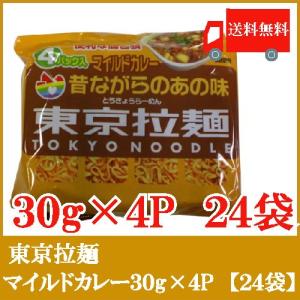 東京拉麺 マイルドカレー 120g×24袋 らーめん