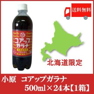 ガラナ 北海道限定 オバラ コアップガラナ 500ml ×24本 送料無料