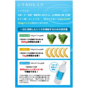 送料無料 コニサーオイル 天然シリカ水 肌ぴり...の詳細画像2