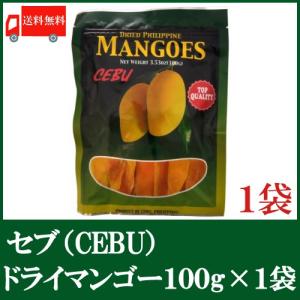 【2023/6/13取扱中止】ドライマンゴー セブ 100ｇ×1袋 ドライフルーツ 送料無料