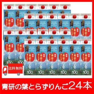 青森りんごジュース 青研 葉とらずりんごジュース 1000ml×24本 送料無料