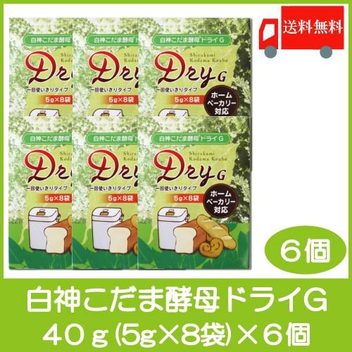 パイオニア企画 白神こだま酵母 ドライG 40g (5g×8袋) 6個 送料無料