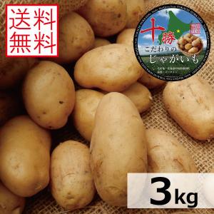 じゃがいも 北海道 十勝産 メークイン R5年産 3kg M/特M/L/2L/3L混合 送料無料