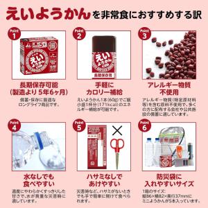 井村屋 えいようかん 3箱 (60g×15本)...の詳細画像5
