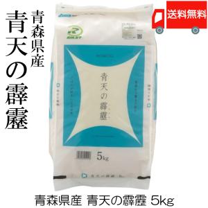 青森県産 青天の霹靂 令和2年度産 5kg×2袋