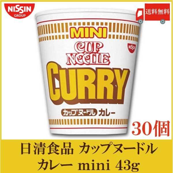 日清食品 カップヌードル カレー ミニ 43ｇ×30個 (15個入×2ケース) 送料無料