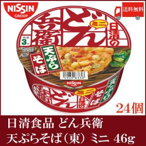 日清食品 日清 どん兵衛 天ぷらそば ミニ (東日本版) 46ｇ×2ケース (24個入) 送料無料｜quickfactory