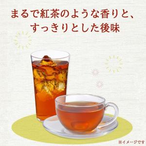 伊藤園 ヘルシー ルイボスティー ティーバッグ...の詳細画像3