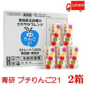 青森りんごジュース 青研 葉とらずりんごジュース プチりんご21 125ml×60本