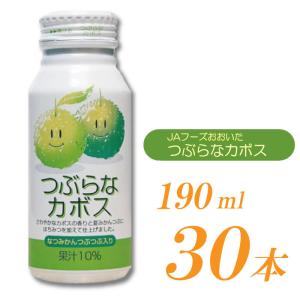かぼす炭酸水 500ml×24本 送料無料 つぶらなカボス 炭酸水無糖0kcal