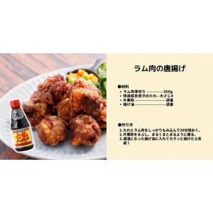 ソラチ 特選 成吉思汗 ジンギスカンのたれ 430gの詳細画像3