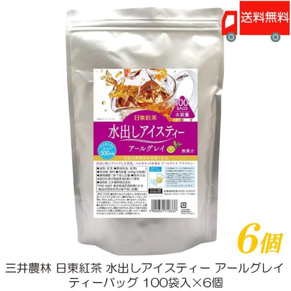 三井農林 日東紅茶 水出しアイスティー アールグレイ ティーバッグ 100袋入 ×6個 送料無料