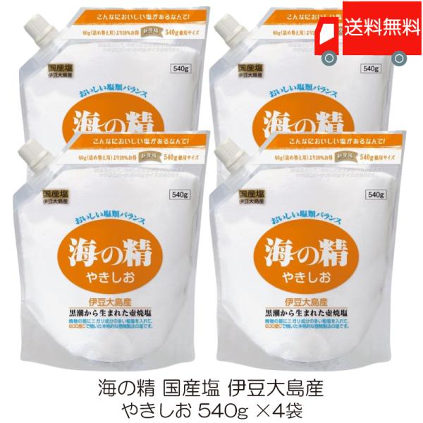 海の精 やきしお 540g ×4袋 (スタンドパック) 送料無料