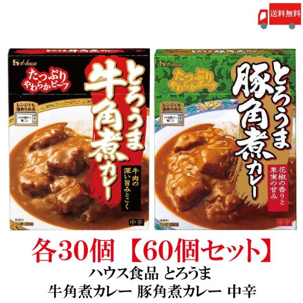 送料無料 ハウス食品 とろうま 牛角煮カレー 豚角煮カレー 中辛 各30個 【60個セット】