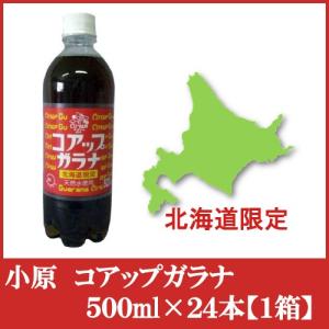 北海道限定　オバラ コアップガラナ500ｍｌ×24本（1ケース）｜クイックファクトリー