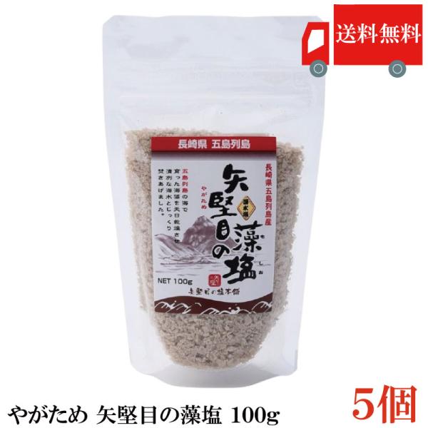 送料無料 やがため 矢堅目の藻塩 100g ×5個