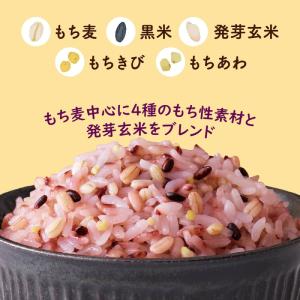 はくばく もちっと五穀 240g ×1個の詳細画像5
