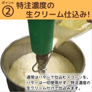 8月期 生クリーム仕込みのスコーン 24個セットの詳細画像3
