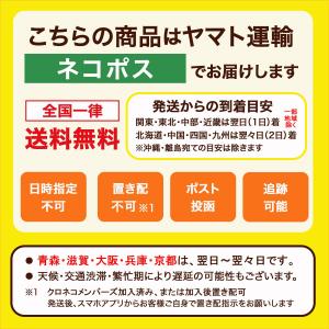 安全ベスト 高輝度 LED 点灯 点滅 可能 ...の詳細画像5