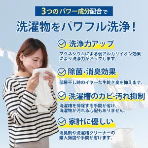 経済的 洗濯補助具 ココマグ ブルー 衣類 部...の詳細画像2