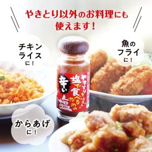 訳アリ品 調味料 貞塩 やきとりを塩で食べるた...の詳細画像3