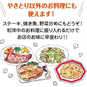 調味料 貞塩 やきとりを塩で食べるための塩 白...の詳細画像4