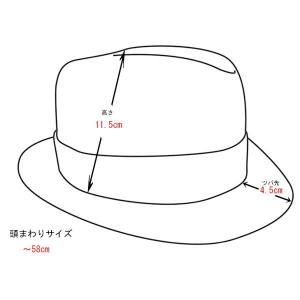 ボーラーハット メンズ レディース 麦わら帽子...の詳細画像5