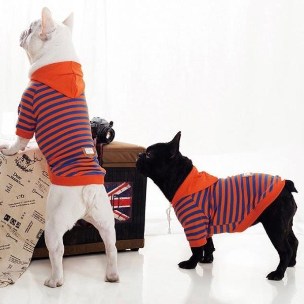 【在庫一掃SALE】犬服 パーカー オレンジ ボーダー 服 犬 猫   オールシーズン 抜け毛防止 ...