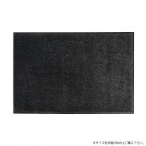 (クリーンテックス) 玄関マット Eco Absorb 75×90cm