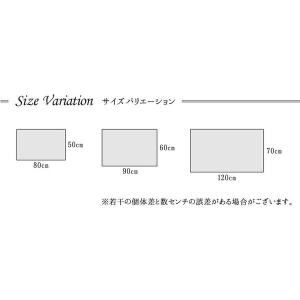玄関マット 室内 小さい 夏用 北欧 60 9...の詳細画像4