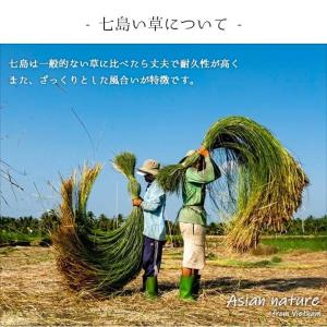 草履 雪駄 サンダル い草 メンズ 畳 夏 和...の詳細画像3