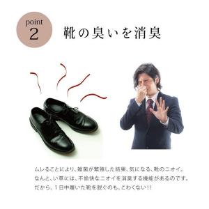 インソール 中敷き 消臭 子供 薄型 クッショ...の詳細画像4