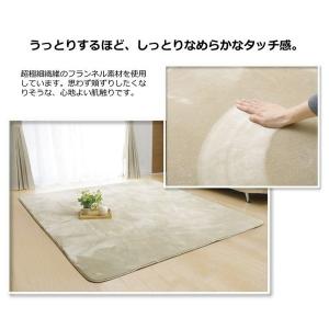 ラグ 冬用 カーペット 2畳 洗える 1畳 お...の詳細画像2