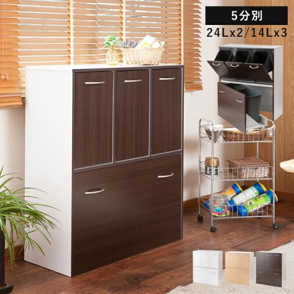 キッチンカウンター ゴミ箱 分別 2段 キッチン 目隠し 幅80 キッチンボード ダストボックス 収...