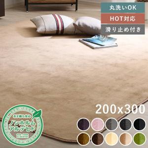 代引不可 ラグ カーペット約200×300cm 洗える 滑りにくい 長方形 4畳