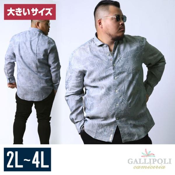 大きいサイズ 長袖シャツ カジュアルシャツ メンズ カッタウェイ GALLIPOLI(ガリポリ) ボ...
