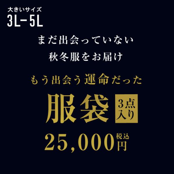 大きいサイズ メンズ QZILLAオリジナルデザイン もう出会う運命だった服袋 3点入り パーカー ...